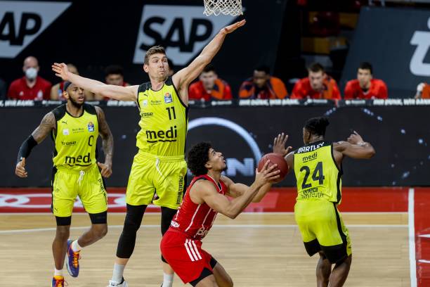 人类身体的 人类身体的